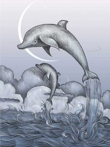 I delfini, il mare, il sogno